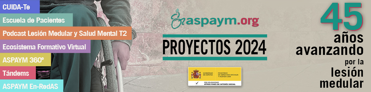 Proyectos 2024